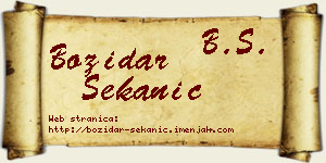 Božidar Sekanić vizit kartica